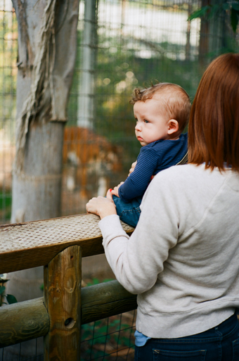 Missoula Family Photographers | Cluney Photography